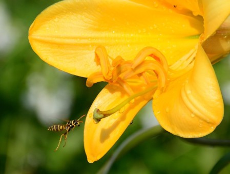 photo_072